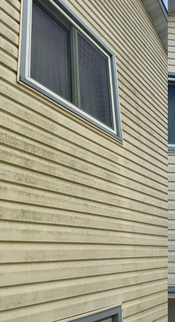 Yellow house siding before and after a professional soft wash